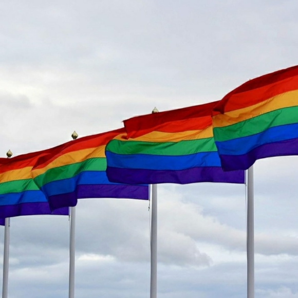 Rainbow 3’ x 5’ Polyester Flag, Multicolor - Picture 6 of 6